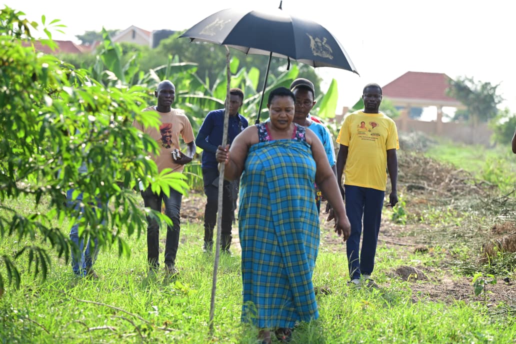 Livelihoods programme